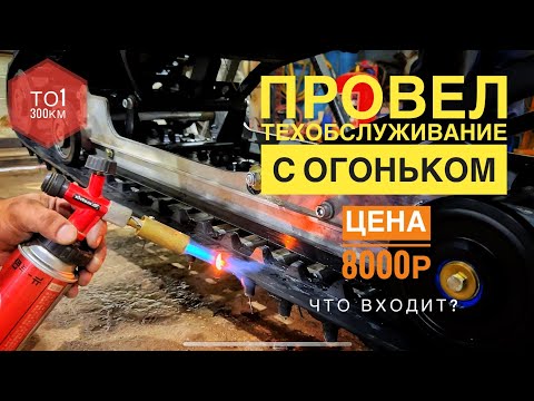 Видео: Техобслуживание за 8000р Тайга Варяг 550V
