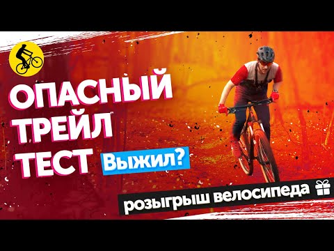 Видео: Лучший Велосипед Forward на трейлах. Тест-драйв || ПРОЕКТ X-TRAIL Серия 2