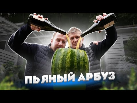 Видео: Попытались приготовить АЛКО АРБУЗ! Он же Бахыт Компот! Он же Крюшон!