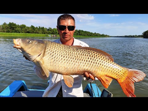 Видео: САЗАН-МОНСТР НА СИЛИКОН. НА ДЖИГ ЛОВИТСЯ ВСЁ !