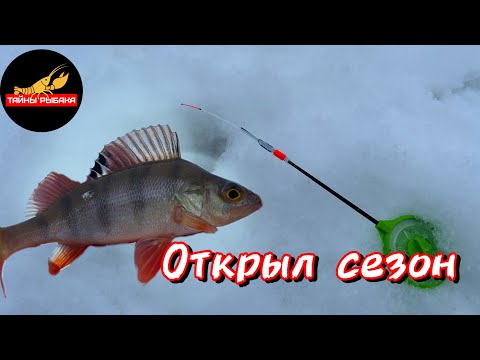 Видео: ОТКРЫЛ ЗИМНИЙ СЕЗОН. Рыбалка на окуня зимой.