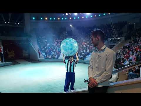Видео: Смешные клоуны. Цирк.