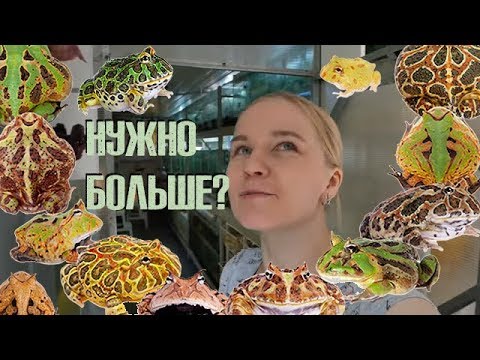 Видео: Как растут малыши и кто на новенького?