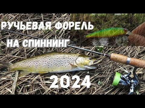 Видео: Ловля Форели на спиннинг ПРАВИЛЬНО! ТОП Приманка! Проводки! #спиннинг #рыбалка #форель