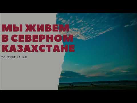 Видео: Лебеди и Казарка на озере Сандыколь с. Кирово. СКО. Казахстан