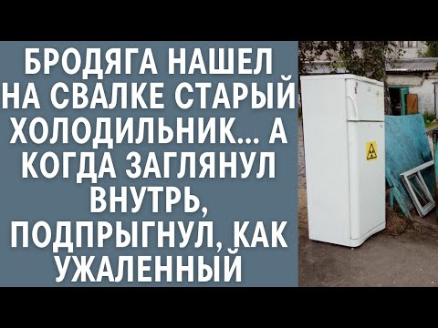 Видео: Бродяга нашел на свалке старый холодильник… А когда заглянул внутрь, подпрыгнул, как ужаленный