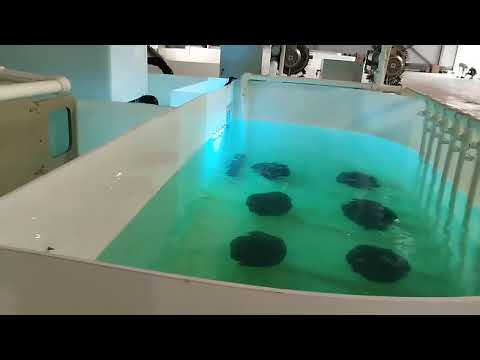 Видео: УЗВ для выращивания осетра. Большие возможности современного оборудования.
