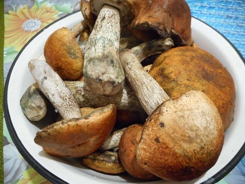 Видео: Сушка Грибов. Какой выход сушки получается из 1 кг свежих.