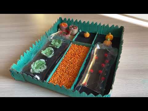 Видео: Огород🌞осенние поделки🌞