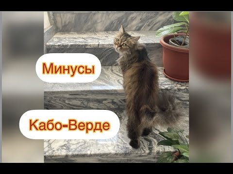 Видео: Минусы жизни в Кабо-Верде: интернет | преступность| собаки |