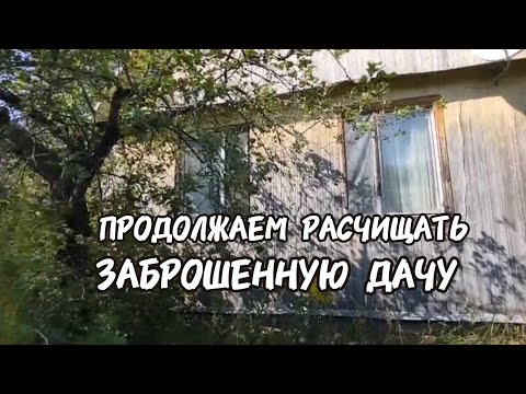 Видео: Продолжаем расчищать заброшенную дачу.