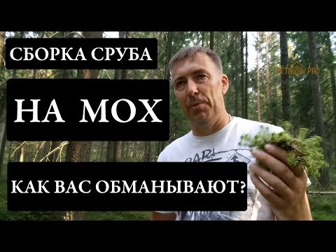 Видео: Сборка сруба на мох. Как Вас обманывают