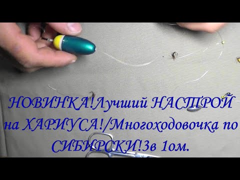 Видео: НОВИНКА!Лучший НАСТРОЙ на ХАРИУСА!!!Многоходовочка по СИБИРСКИ! 3 в 1ом.