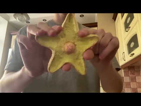 Видео: АСМР сдвг, быстрые триггеры