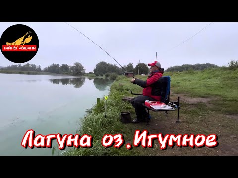 Видео: Лагуна оз. Игумное. Ловля карпа на фидер.