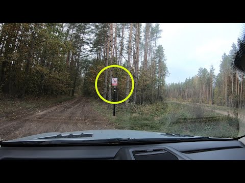 Видео: Странный знак в лесу преградил нам путь, но мы решили проверить.