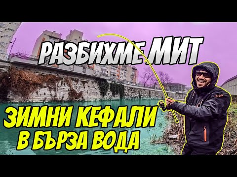 Видео: РАЗБИХМЕ МИТ! Риболов на ЗИМНИ кефали в бърза вода