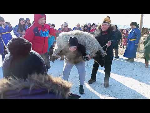 Видео: Кыс хиндиктиг чон аразынга хой көдүрер мөөрей. Малчыннар Шагаазы 2023, февраль 23, Ээрбек