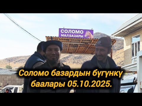 Видео: 05.10.2025. Ала-Бука району Соломо мал базардын бүгүнкү баалары.