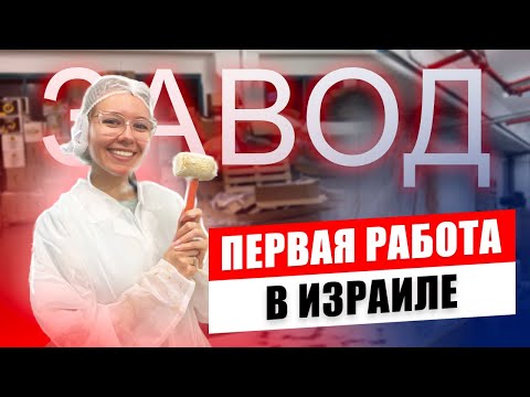 Видео: Первая работа новых репатриантов в Израиле!? Завод?