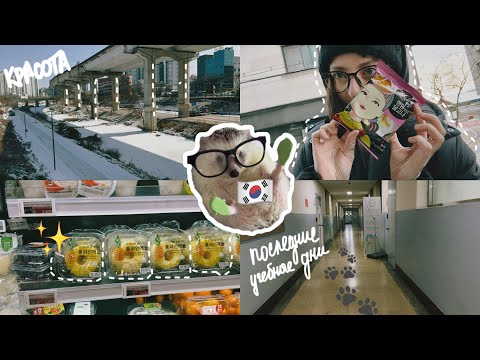 Видео: KOREA VLOG DIARY|последняя учебная пятница на курсах корейского / последние дни в Корее |5-7-2.2025