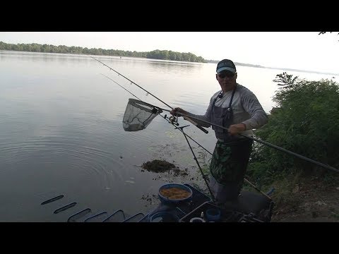 Видео: Ловим подлещика фидером. О рыбалке всерьез. Выпуск 372HD