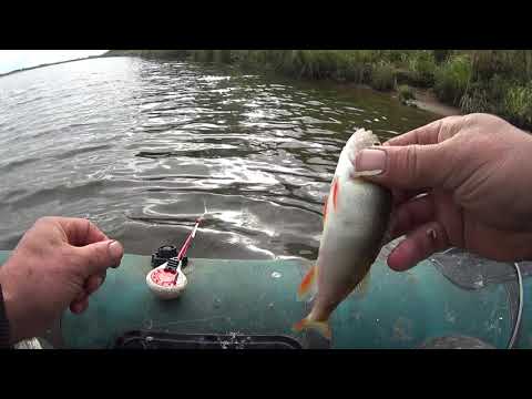 Видео: Плотва летом на зимнюю удочку!!
