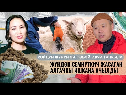 Видео: Сүйүнчү! Жүндөн жер семирткич жасала баштайт