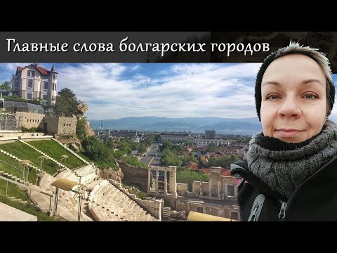 Видео: Города как живые существа: о чём они?