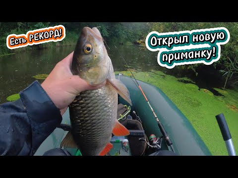 Видео: Так ГОЛАВЛЯ я ЕЩЕ НЕ ЛОВИЛ!