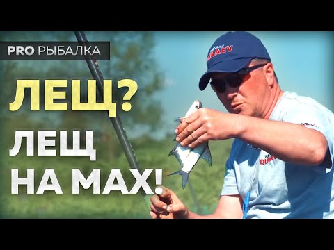 Видео: Маховая удочка. Ловля на стоячей воде в Подмосковье.