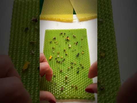 Видео: Мастер класс: Свеча на похудение