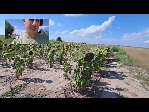 Видео: Випуск 14