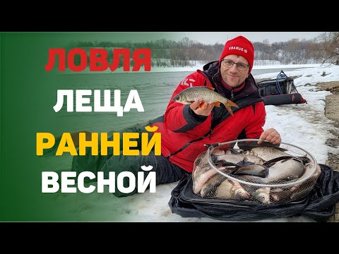Видео: Ловля леща ранней весной!