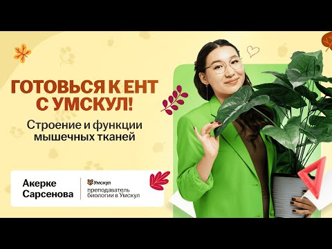 Видео: Все про Мышечные ткани для ЕНТ за 20 минут