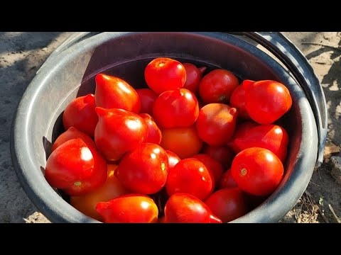 Видео: ТАТКО В ЛіКАРНі, ХВИЛЮЄМОСЯ!