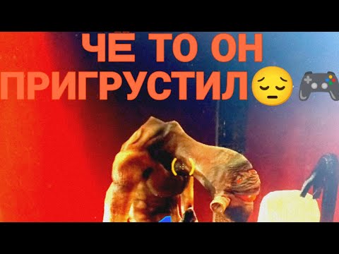 Видео: HALF LIFE 2 - ПРОХОЖДЕНИЕ 1