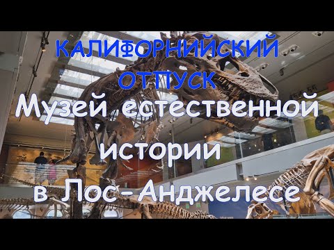 Видео: Музей естественной истории в Лос-Анджелесе