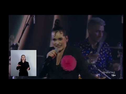 Видео: Ленинград — Ёж (Live @ Вечерний Звук)