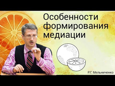 Видео: Особенности формирования медиации
