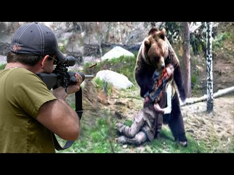 Видео: Погоня за медведем с собаками, который нападает на американские города 😱🔥👍👌 Часть 1