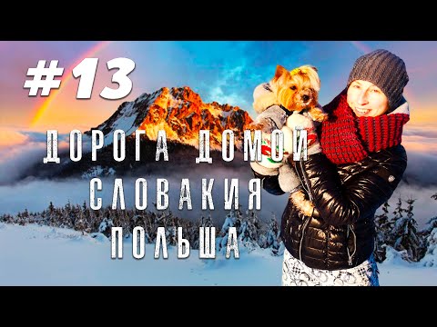 Видео: Зимний кемпинг в Словакии на автодоме: Выпуск 13: Через горы в Польшу и стоянка в лесу! 🏔🇵🇱