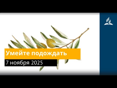Видео: 7 ноября 2025. Умейте угождать. Под сенью благодати.
