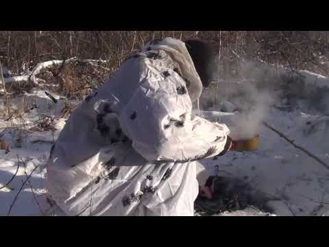 Видео: Барсук. Как найти норы барсука и определить что он там живет