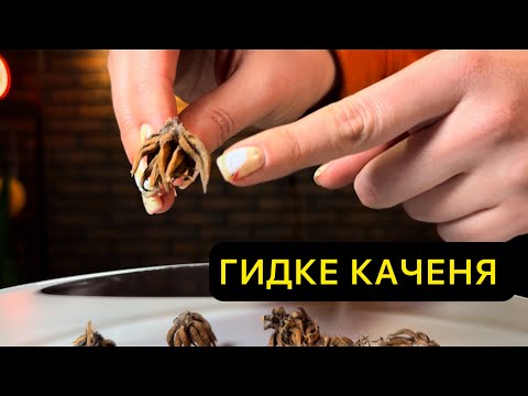 Видео: Лютики садовые (ранункулюс). Все, что нужно знать. Подготовка к посадке, посадка и уход.