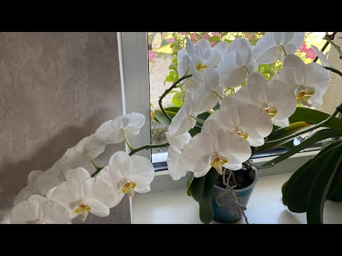 Видео: Готовлю / надо сумку собрать 😉Погодка ещё та🙃Вот и приехал😁