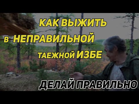 Видео: КАК ВЫЖИТЬ В НЕ ПРАВИЛЬНОЙ ТАЕЖНОЙ ИЗБЕ. СТРОИТЕЛЬСТВО ЗИМОВЬЯ. НЕ ТИПОВЫЕ ОШИБКИ.