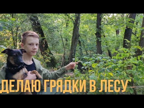 Видео: Грядки Хольцера в лесу: Органическое земледелие и теплые грядки для богатого урожая в лесу (3 часть)