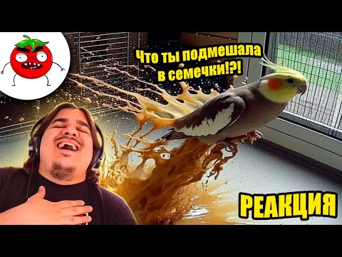 Видео: ▷ ЗАСМЕЯЛСЯ ПРОИГРАЛ | ТЕСТ НА ПСИХИКУ ЧЕЛЕНДЖ | САМЫЕ ЛУЧШИЕ ПРИКОЛЫ 2025 | РЕАКЦИЯ
