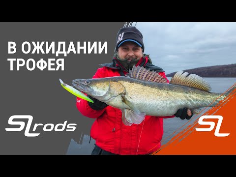 Видео: Как поймать КРУПНУЮ ЩУКУ и СУДАКА на воблеры! Ловля на большой воде.